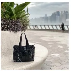 2026年最新】ひとりっぷ レスポ anaの人気アイテム - メルカリ