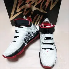 2026年最新】レブロン 17 グラフィティの人気アイテム - メルカリ