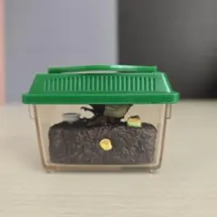 2026年最新】たのしい飼育当番の人気アイテム - メルカリ