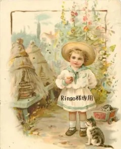 2026年最新】ブリュ ジュンの人気アイテム - メルカリ