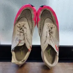 2026年最新】ヴェイパーフライ2 25.5の人気アイテム - メルカリ