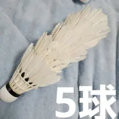 2026年最新】バドミントンシャトルニューオフィシャルの人気アイテム