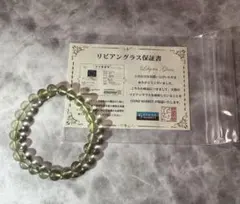 2026年最新】リビアングラス ヒカル リザードの人気アイテム - メルカリ