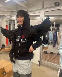 2026年最新】dinoworksの人気アイテム - メルカリ