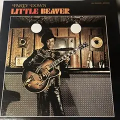 2026年最新】パーティ・ダウン リトル・ビーバー の人気アイテム