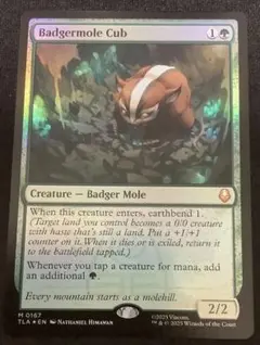 2026年最新】アナグマモグラの仔の人気アイテム - メルカリ