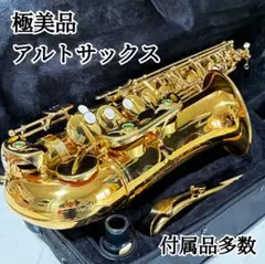 2026年最新】カドソン サックスの人気アイテム - メルカリ