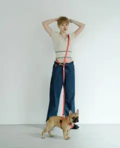 2026年最新】ciiron TOKYO ハーネスの人気アイテム - メルカリ