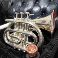 2026年最新】minerva トランペットの人気アイテム - メルカリ