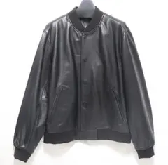 2026年最新】キャリースタジャンの人気アイテム - メルカリ