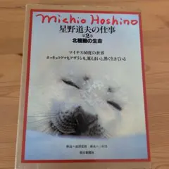 2026年最新】星野道夫の人気アイテム - メルカリ