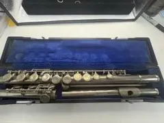 2026年最新】ニッカン フルートの人気アイテム - メルカリ