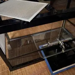 2026年最新】爬虫類 ケースバイケースの人気アイテム - メルカリ