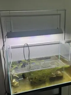 2026年最新】アクロ TRIANGLE LED GROWの人気アイテム - メルカリ