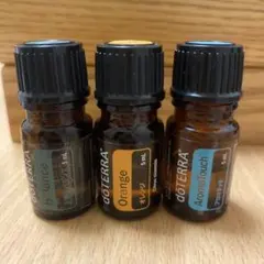 2026年最新】ドテラアロマタッチテクニックの人気アイテム - メルカリ