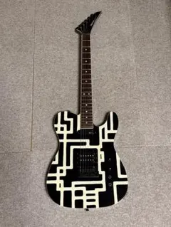 2026年最新】サスティナー fernandesの人気アイテム - メルカリ