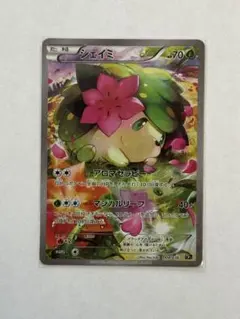 2026年最新】シェイミ cp5 幻·伝説ドリームキラコレクションの人気