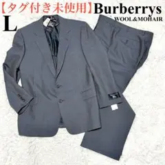 2026年最新】BURBERRY 柄：ストライプ ビジネススーツの人気アイテム