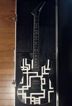 2026年最新】布袋 fernandes モデルの人気アイテム - メルカリ