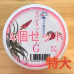 エクステム ライズアップクリーム フォーメン 25g 新品 即速発送 匿名