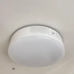 2026年最新】popIn Aladdin ドット抜けの人気アイテム - メルカリ