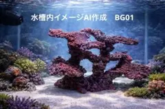 2026年最新】人工 ライブロックの人気アイテム - メルカリ