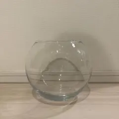 2026年最新】曲げガラス水槽の人気アイテム - メルカリ