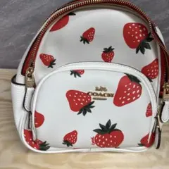 2026年最新】coach いちご キーホルダーの人気アイテム - メルカリ