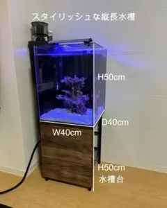 2026年最新】人工 ライブロックの人気アイテム - メルカリ