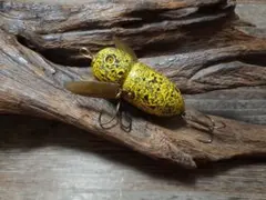 2026年最新】道楽 アブラゼミの人気アイテム - メルカリ