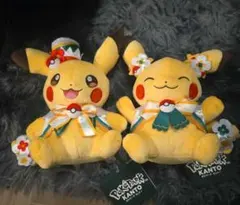 ポケパークカントー 限定 エイパム ぬいぐるみ 5種コンプリートセット