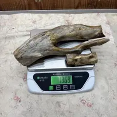 2026年最新】海松 原木の人気アイテム - メルカリ