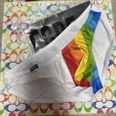 EGDE【XXL！上下セット！】REBOOT RE レインボー ビキニ&ハーネス