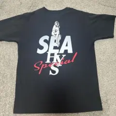 2026年最新】ウィンダンシー ヒステリックグラマー シャツの人気