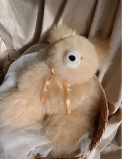 2026年最新】アルパカベアの人気アイテム - メルカリ