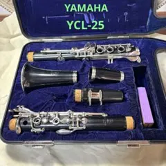 2026年最新】yamaha YCL-25の人気アイテム - メルカリ