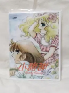 2026年最新】キャンディ・キャンディ dvdの人気アイテム - メルカリ