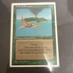 2026年最新】極楽鳥 4版の人気アイテム - メルカリ