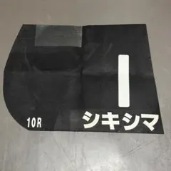 2026年最新】競馬 ゼッケン 実使用の人気アイテム - メルカリ