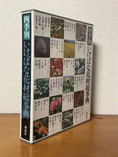 2026年最新】いけばな花材 事典の人気アイテム - メルカリ
