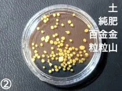 2026年最新】土肥金山の人気アイテム - メルカリ