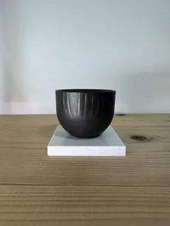 2026年最新】バリエム 鉢の人気アイテム - メルカリ