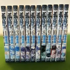 2026年最新】孤高の人 全巻の人気アイテム - メルカリ