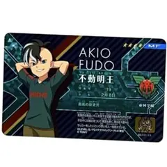 2026年最新】不動明王 イナイレの人気アイテム - メルカリ