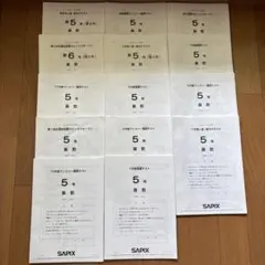 2026年最新】sapix 組分けテスト 新5年の人気アイテム - メルカリ