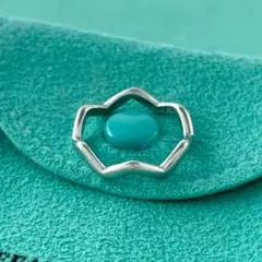 2026年最新】ティファニー パロマ・ピカソ ジグザグの人気アイテム