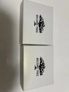 2026年最新】become tree ピアスの人気アイテム - メルカリ