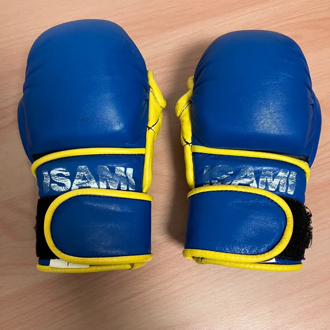 2026年最新】イサミ パウンドグローブの人気アイテム - メルカリ