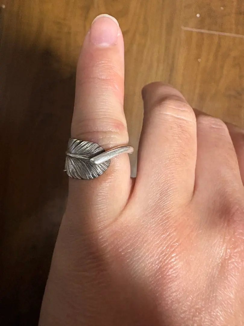 2026年最新】ケンキクチ フェザーリングの人気アイテム - メルカリ