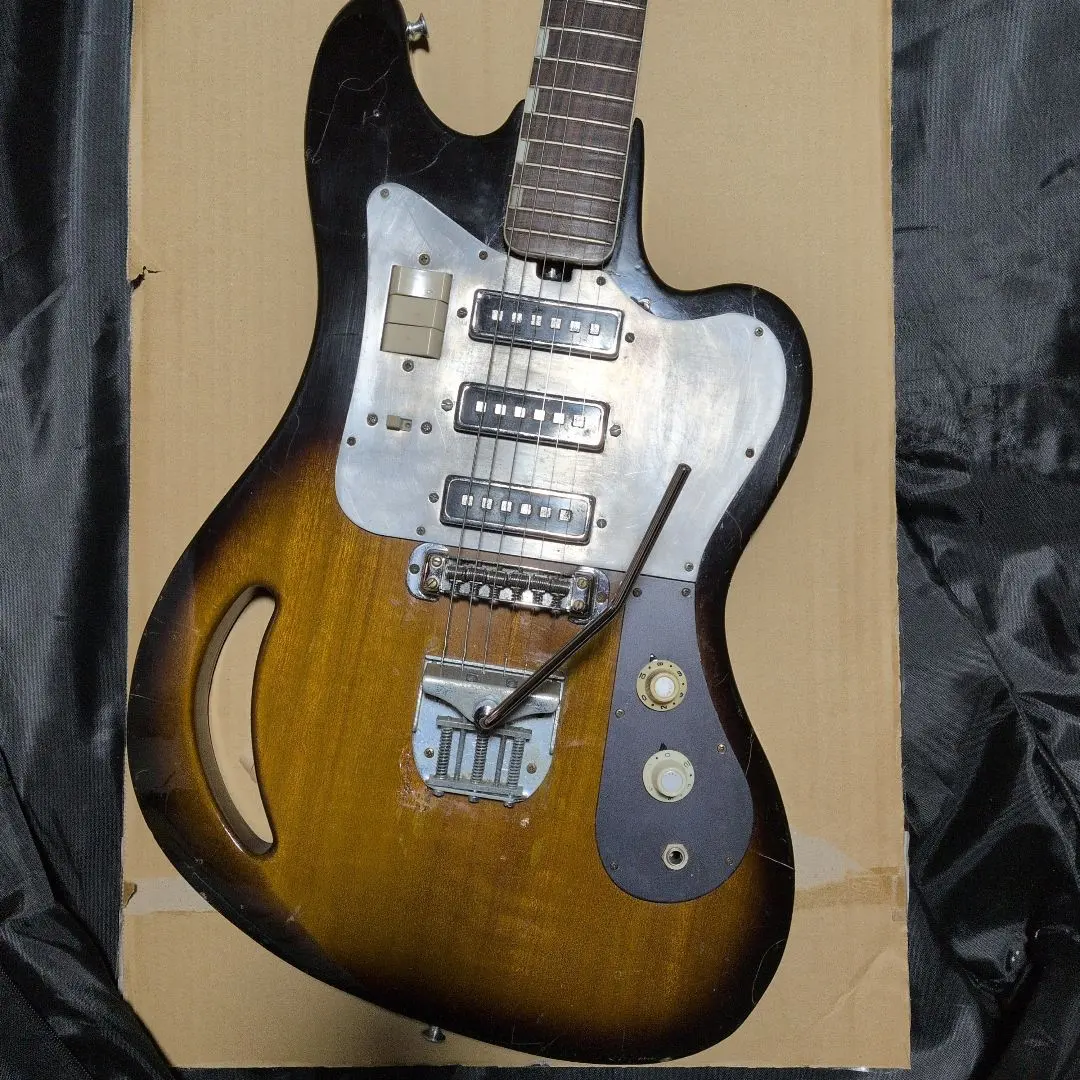 2026年最新】teisco ピックアップの人気アイテム - メルカリ